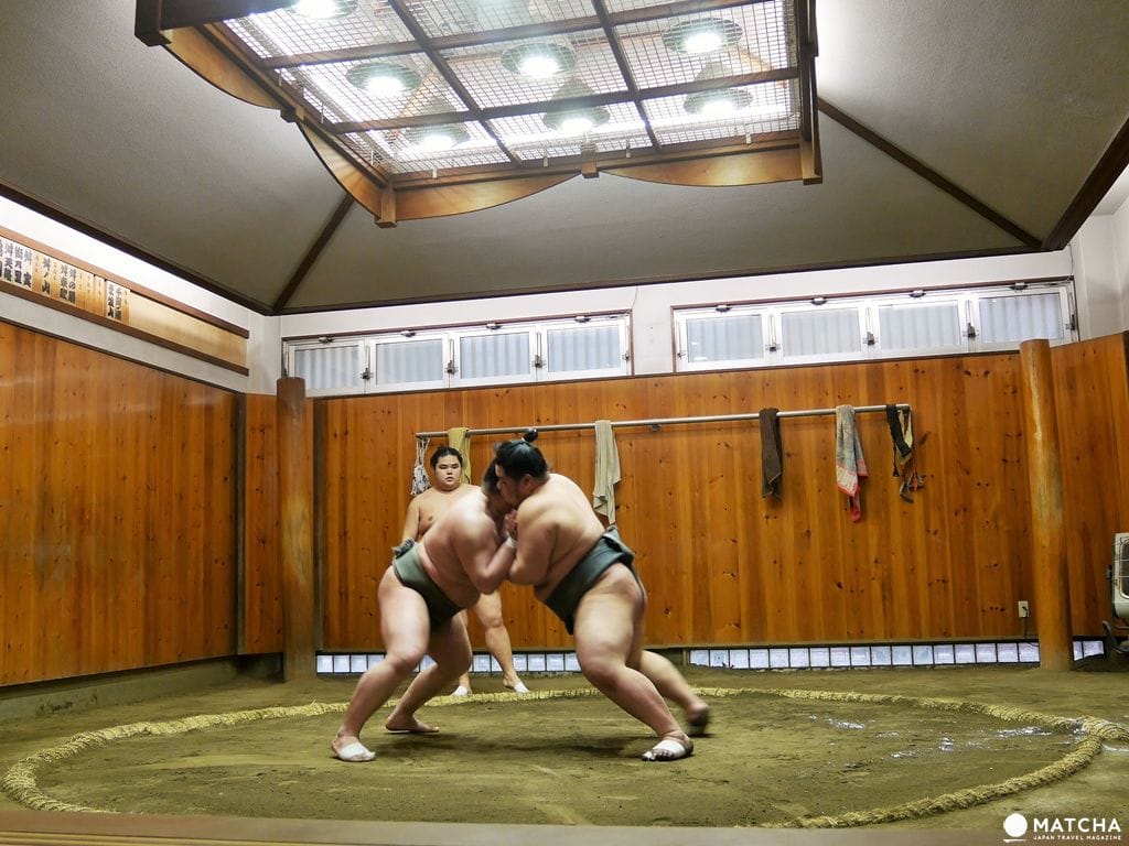 『東京新體驗』近距離感受肉貼肉的激烈碰撞,相撲晨練體驗