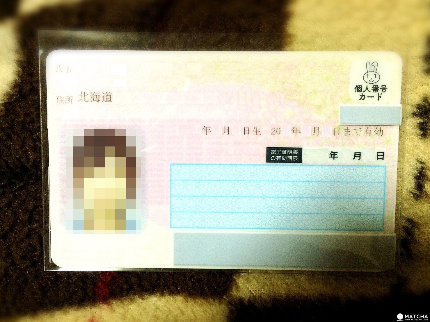 保險年金1 個人番號