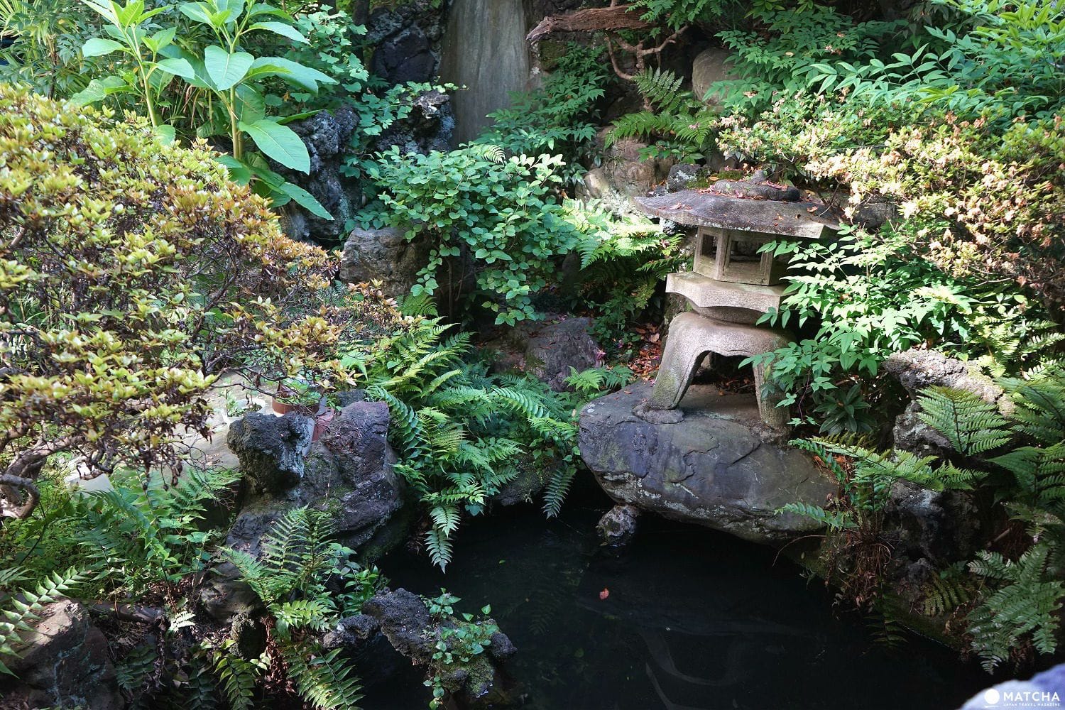 【西新井】80年間の歴史を誇る「松の湯」で初めての銭湯體験！その感想は？！
