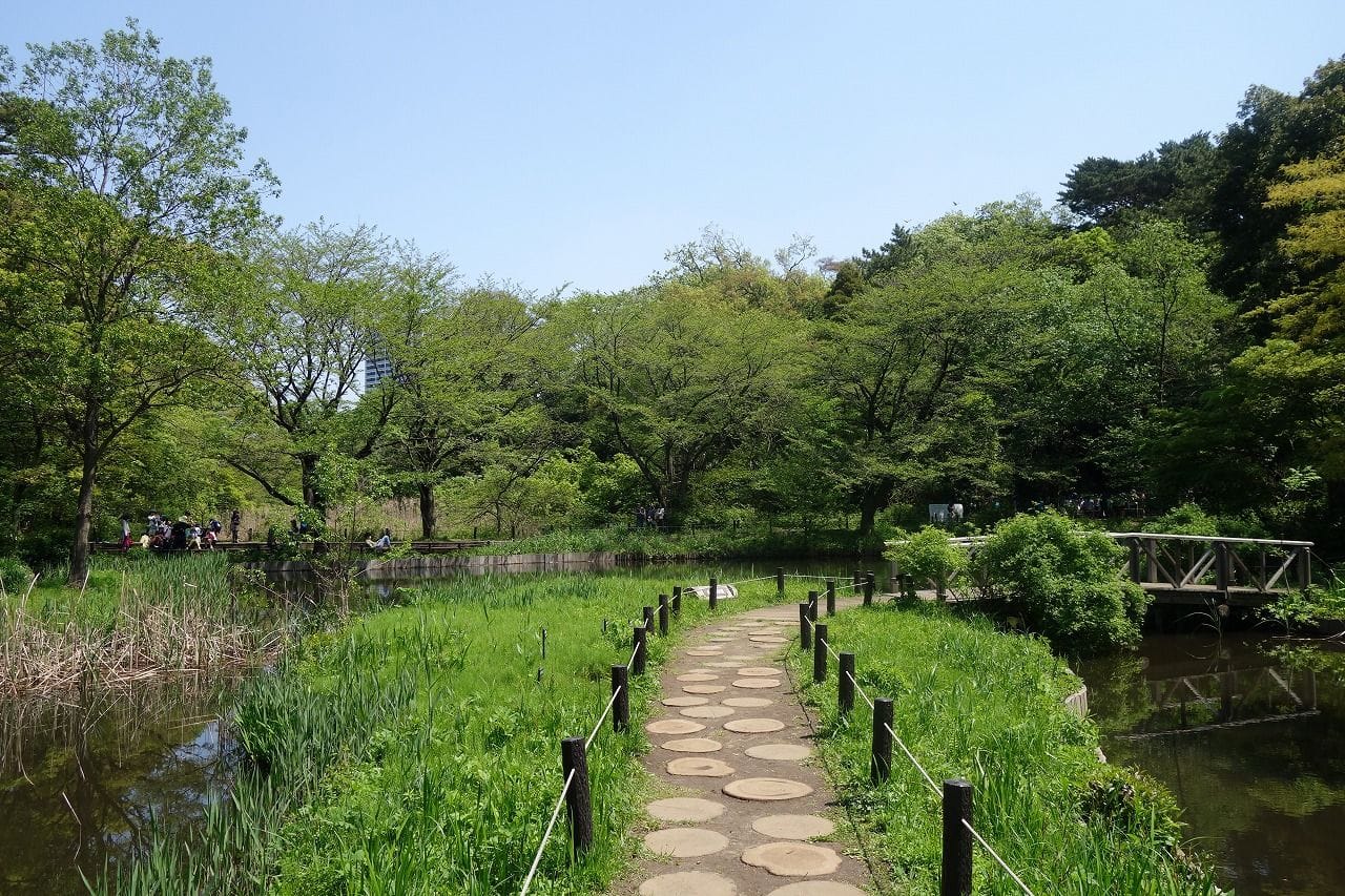 【東京都】自然に癒される国立科学博物館附属自然教育園～アクセス、おすすめスポット、イベントなど