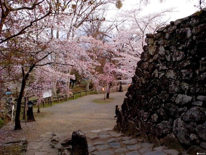 長野完全指南。精選23處觀光景點與10間滑雪場