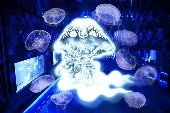 欣賞7/29的隅田川花火前，先來看一下鬼太郎水母鬼火吧！