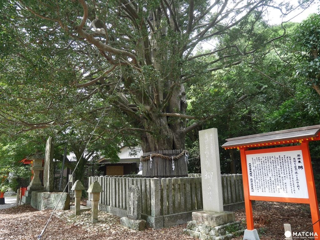 熊野速玉5