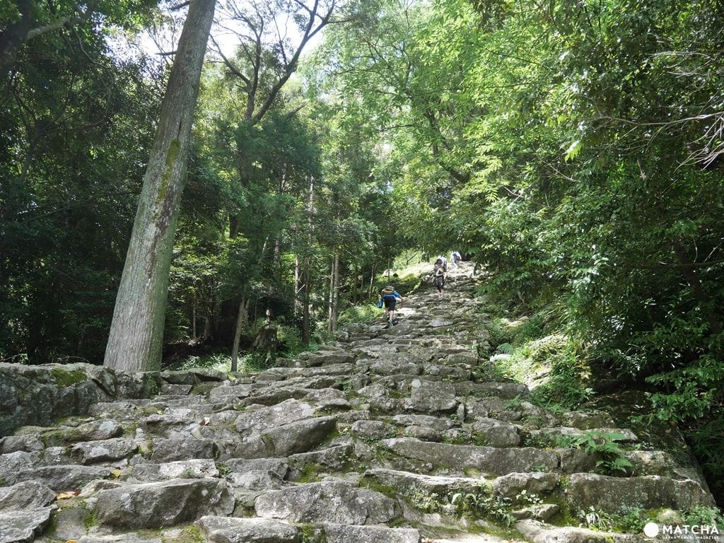 熊野速玉14 熊野速玉