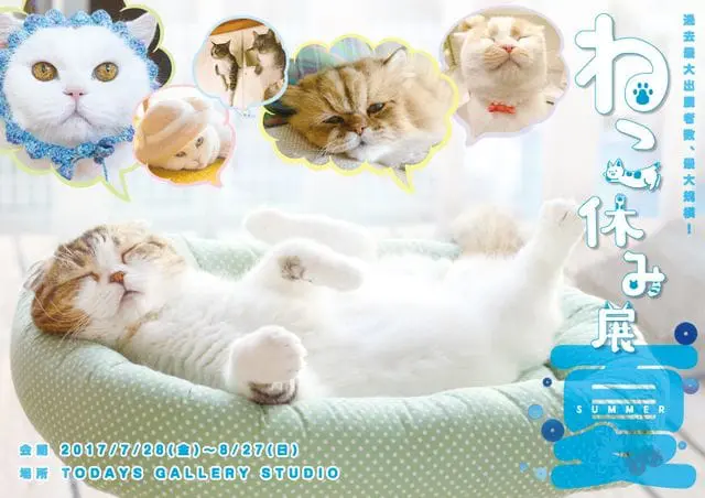 跟着猫咪一起放暑假！东京都浅草桥“ねこ休み展 夏 2017特展”