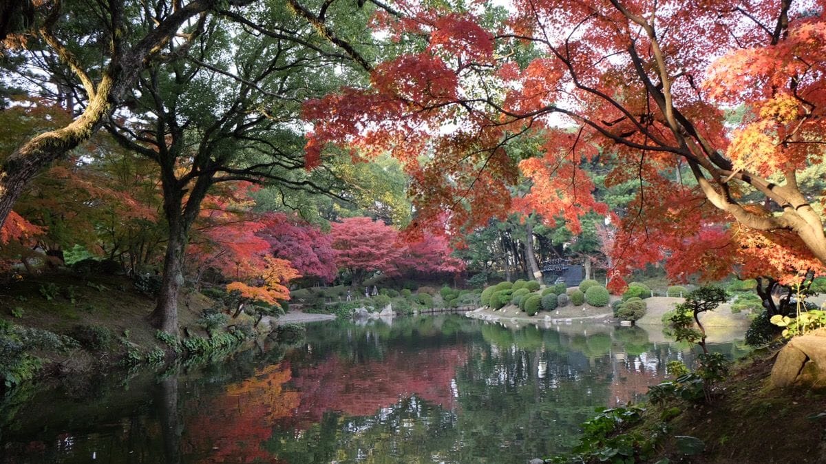 縮景園 縮景園