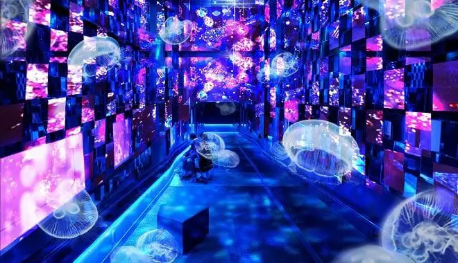 銀河鐵道的夢幻之夜，墨田水族館「Fairy tale in Aquarium～水與幻想世界」
