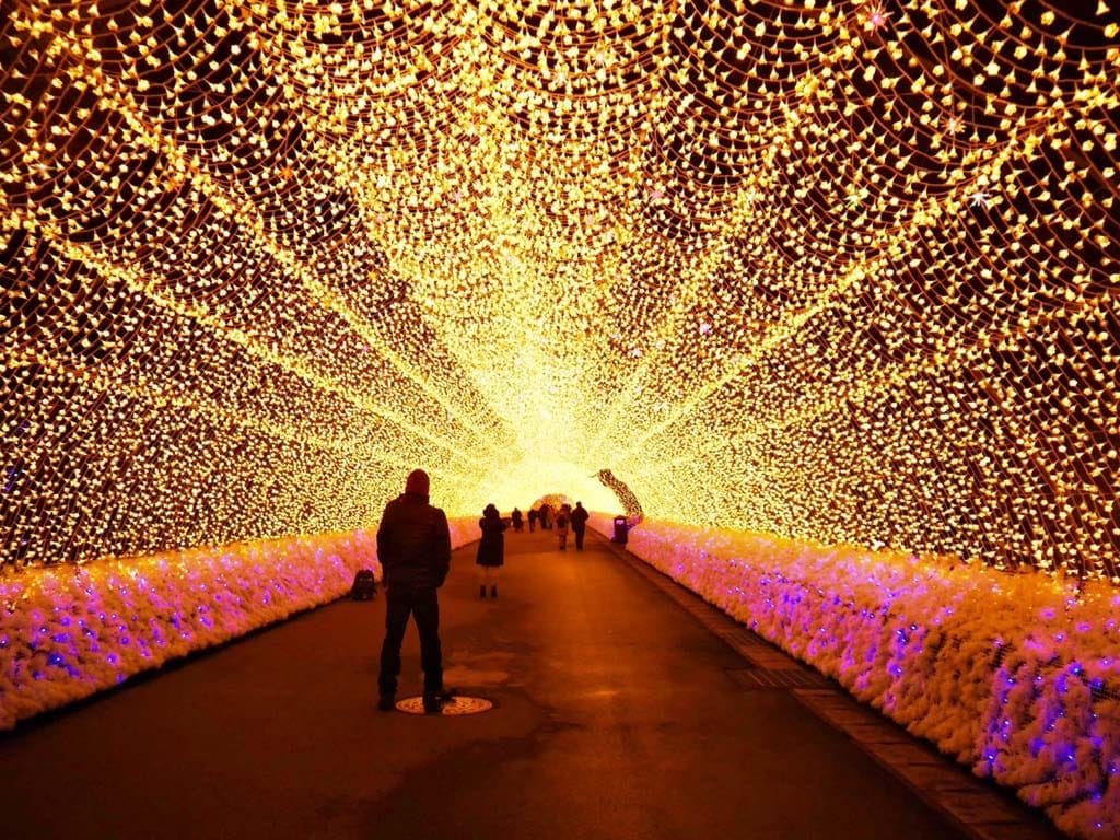 名花之里 名花之里