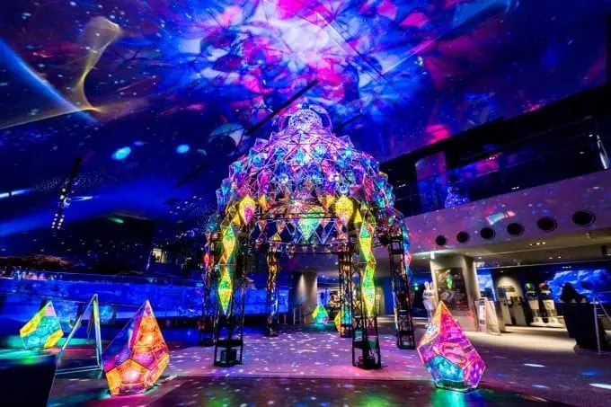 和企鵝們一起進入夢幻光海！墨田水族館點燈「CRYSTAL SEAWORLD～水晶般的海底世界～」