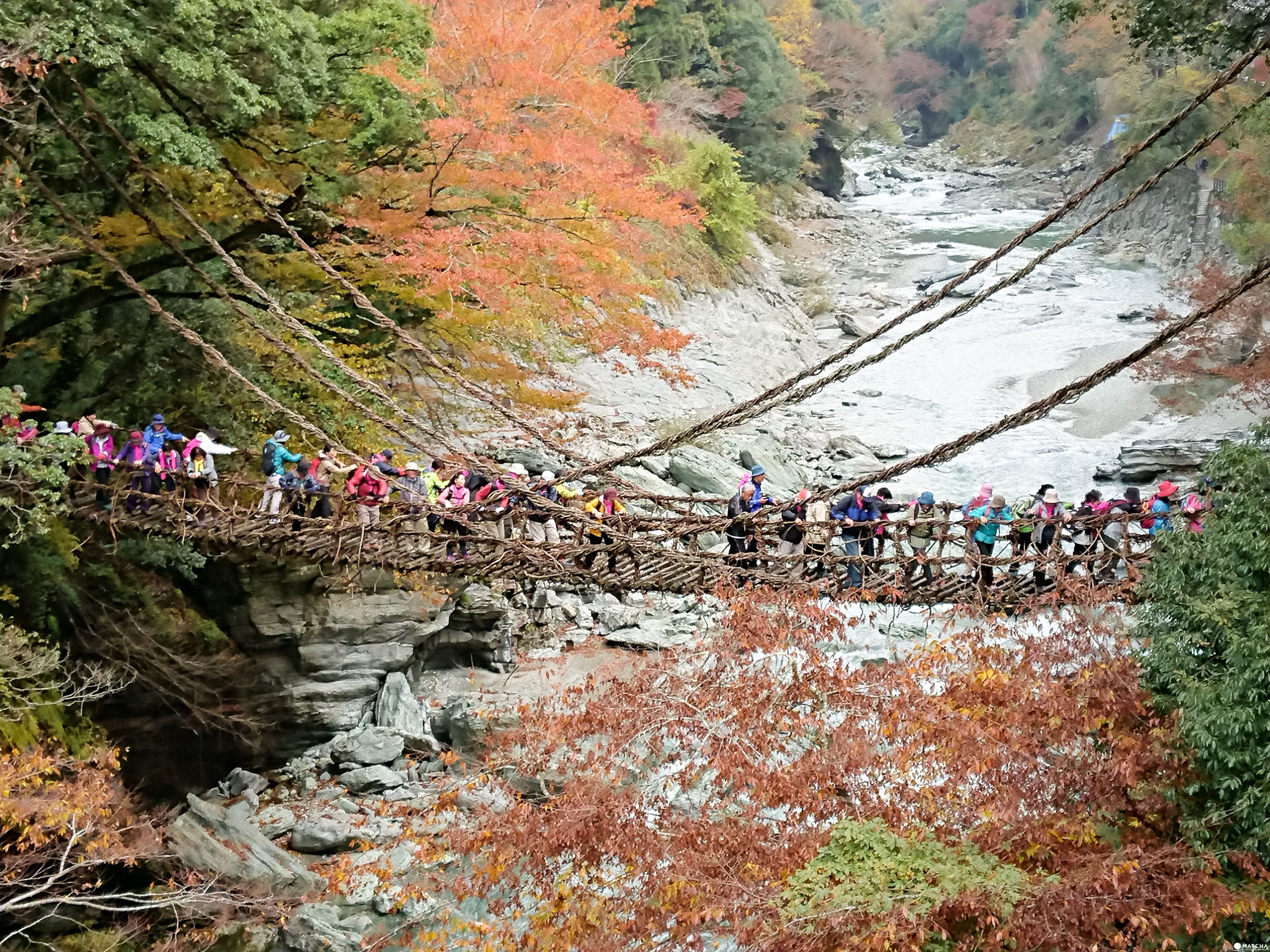 蔓橋 【德島】跟著懷舊巴士遊德島