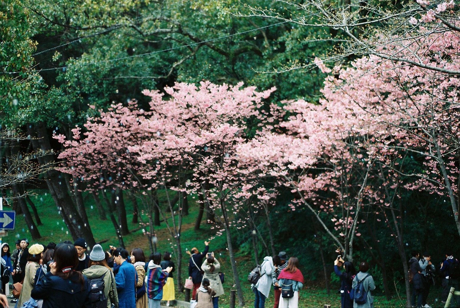 福岡西公園