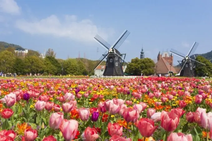 有花有燈有煙火！長崎豪斯登堡「鬱金香祭」與「花火大會」，邀你進入超夢幻世界！