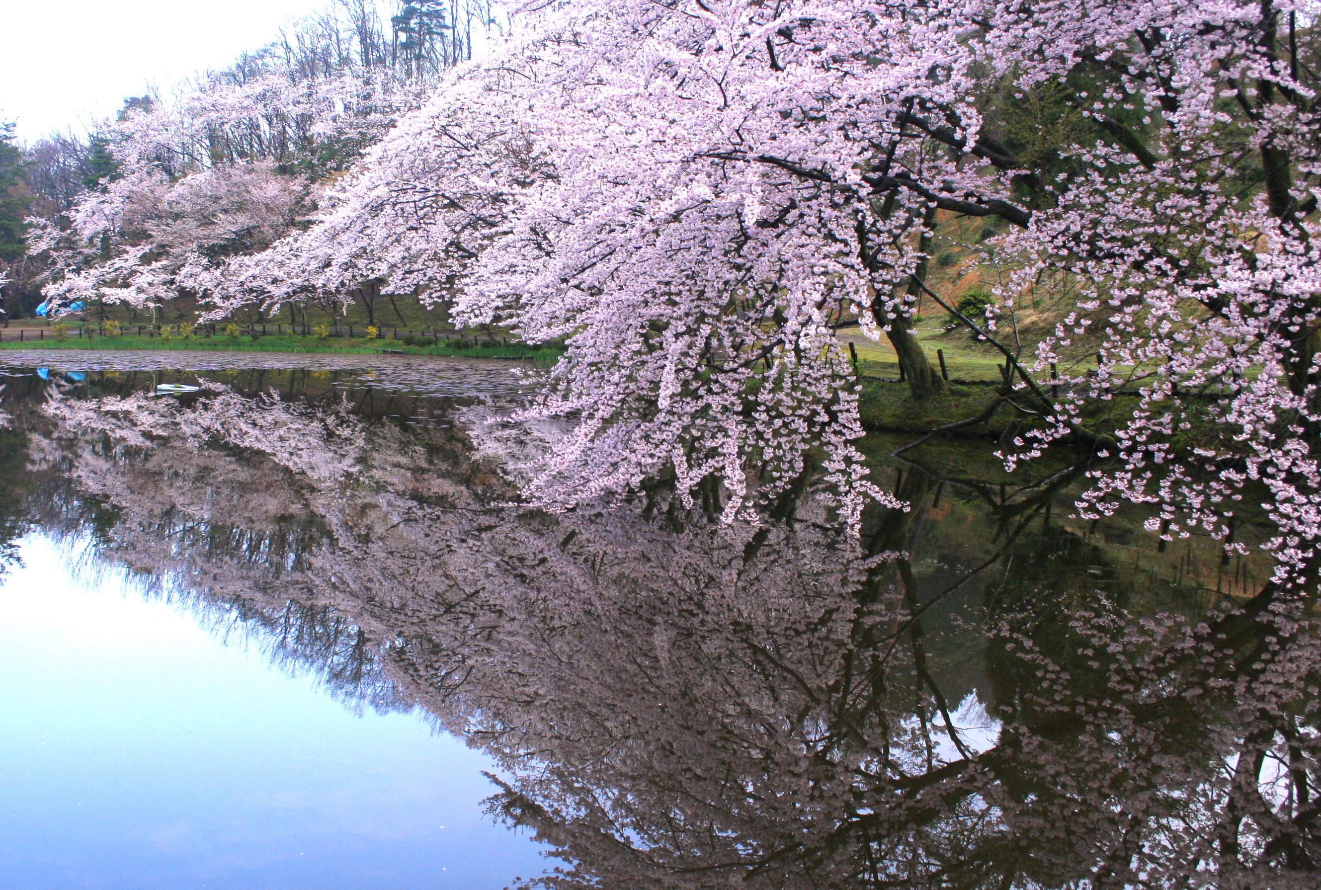奥卯辰山健民公園