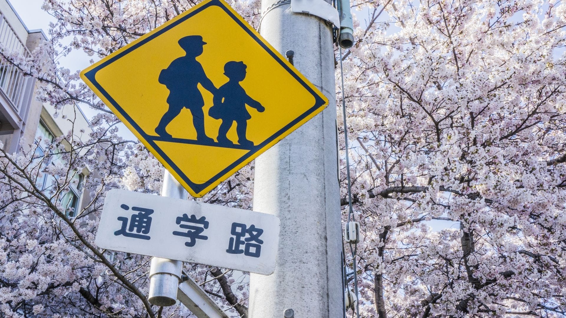 自駕8 交通號誌