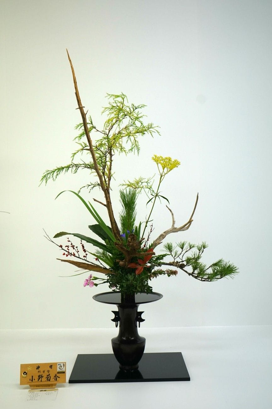 【插花藝術】搶先看日本花道池坊花藝的魅力MATCHA欣傳媒旅遊頻道