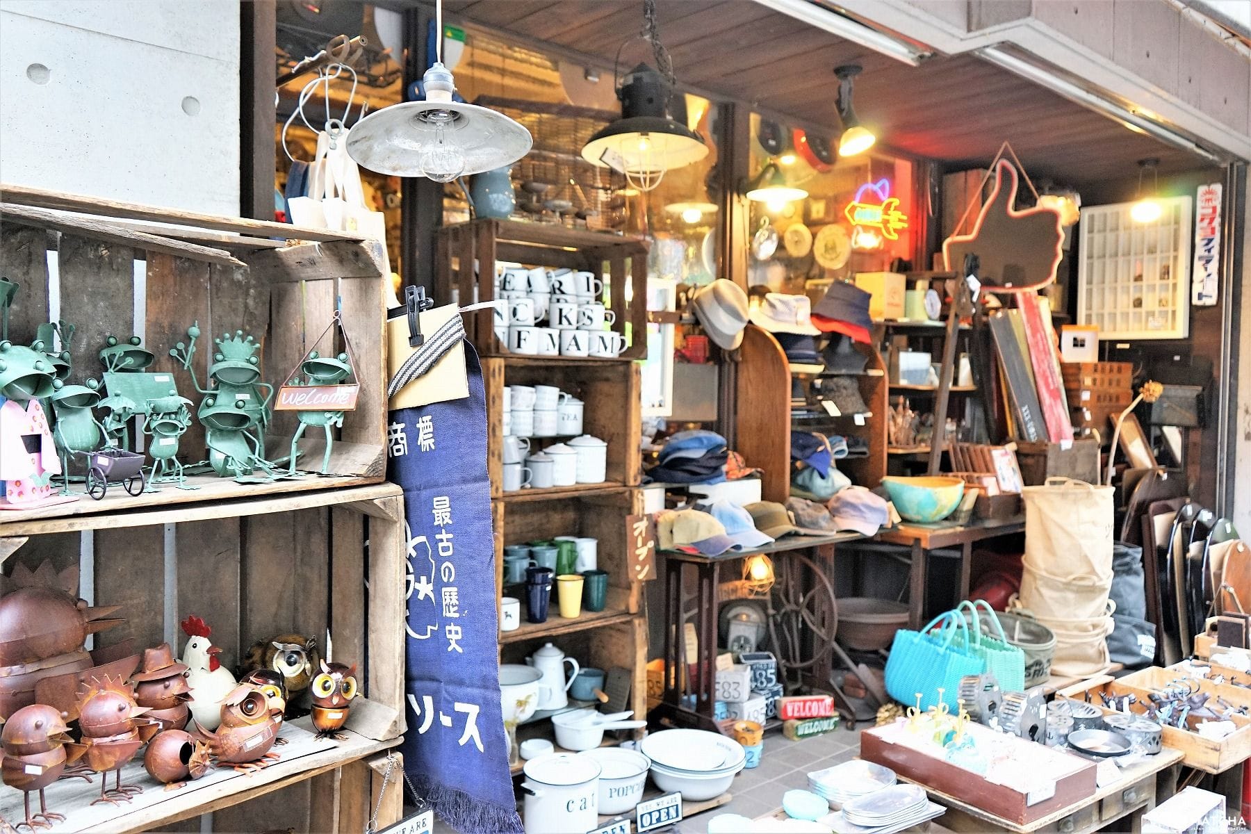 ANTIQUE LIFE JIN ANTIQUE LIFE JIN