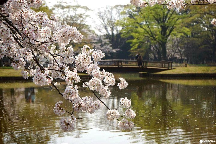 8 year age difference dating