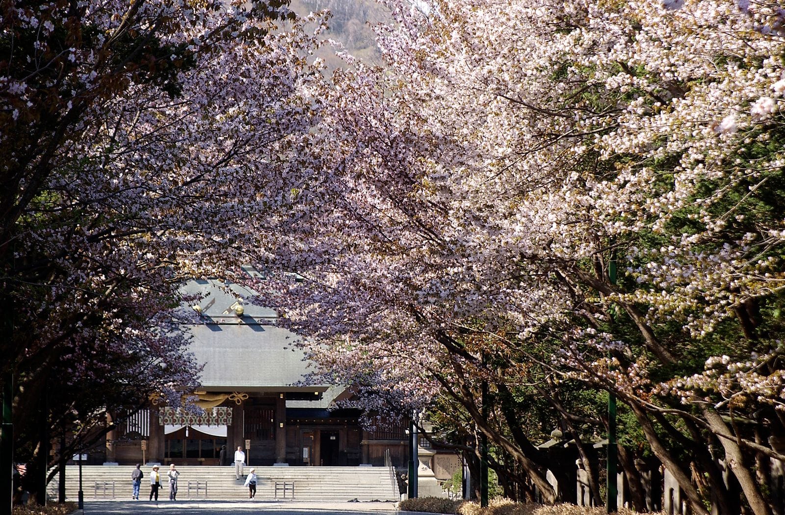 札幌