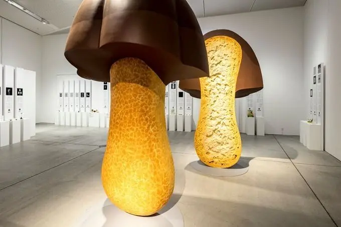 激发设计力！日本Graphic Design in Japan免费入场