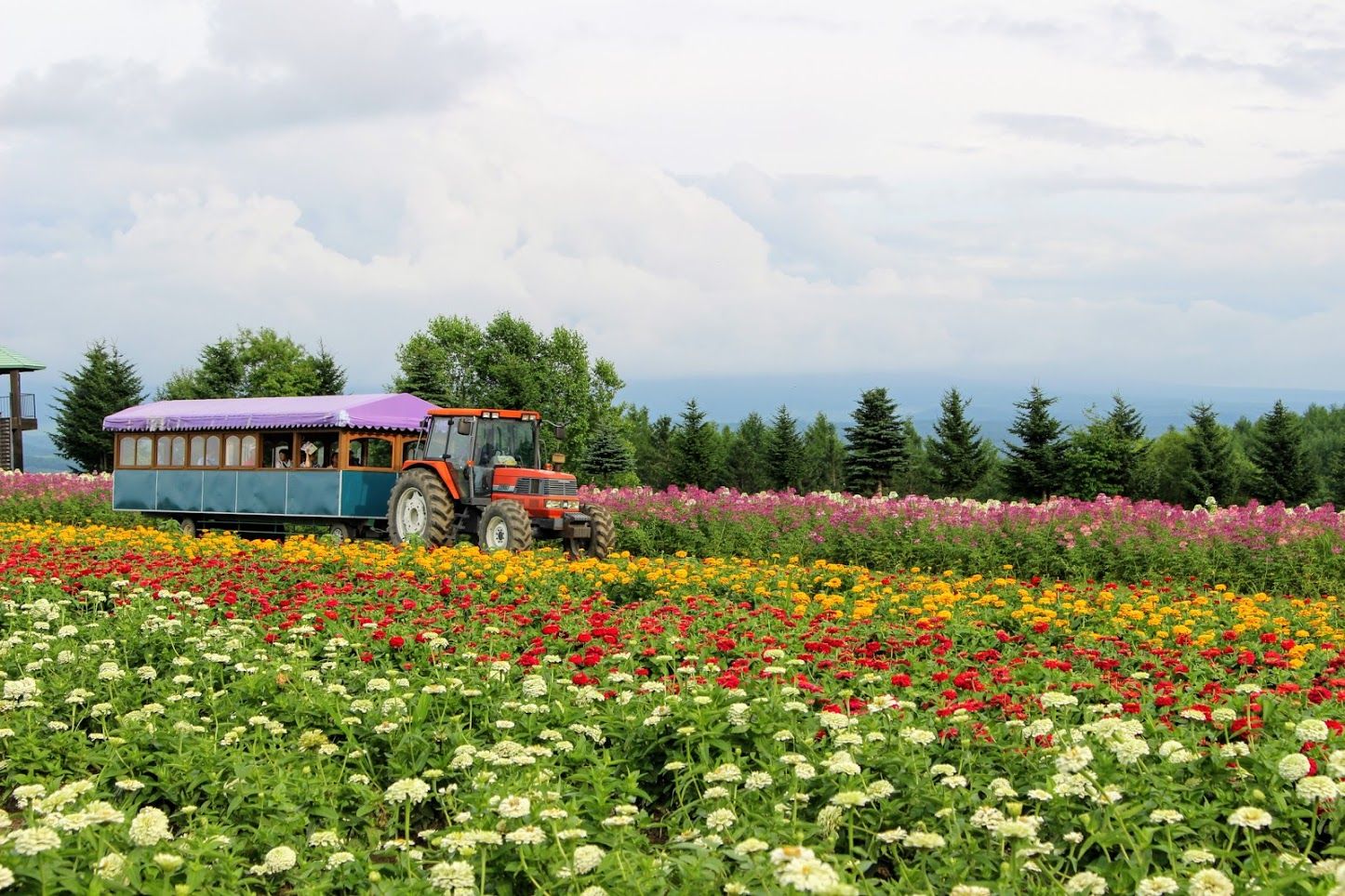 季節によって違う景色が楽しめる 富良野 美瑛でやりたい8のこと Matcha 訪日外国人観光客向けwebマガジン
