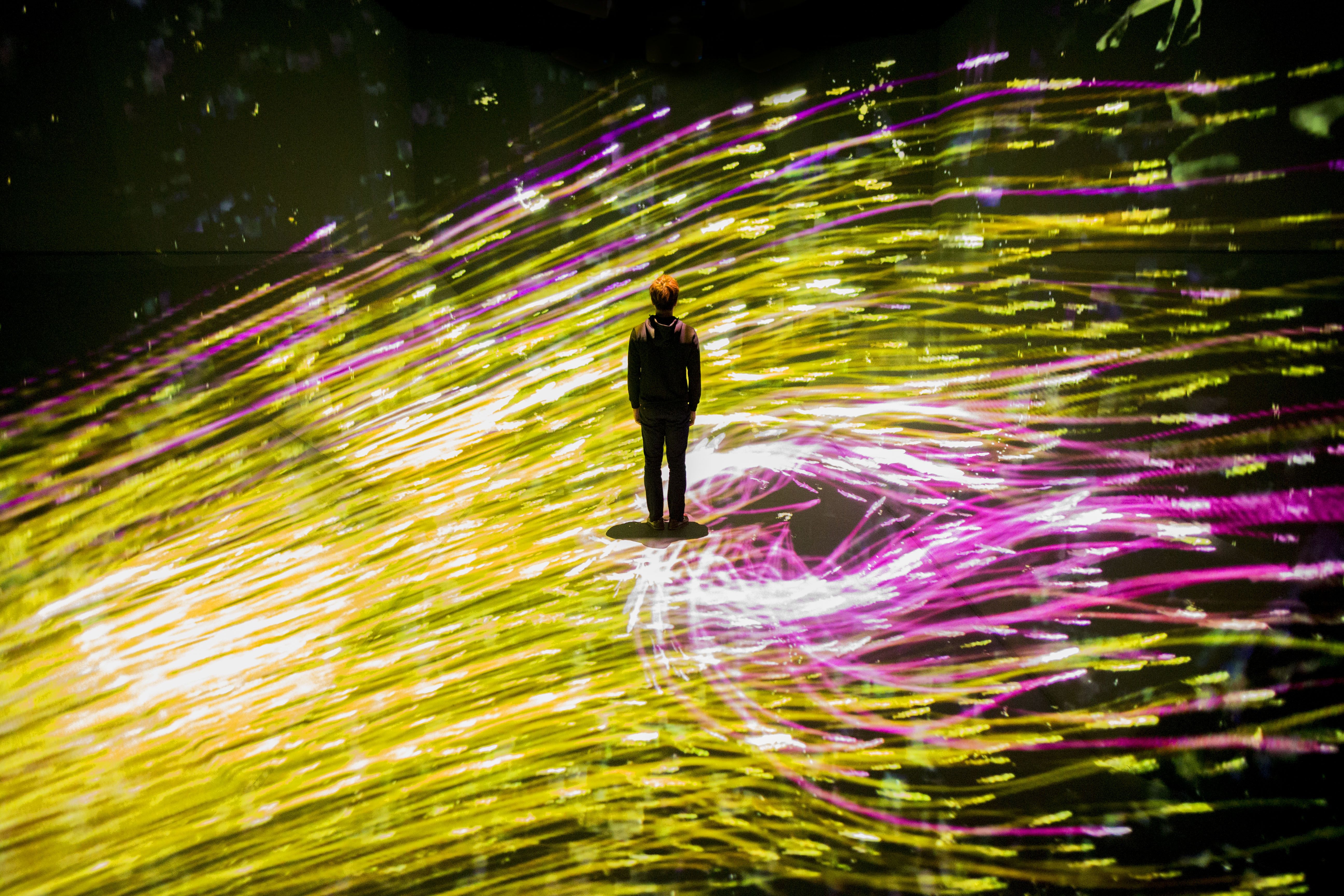 teamLAB