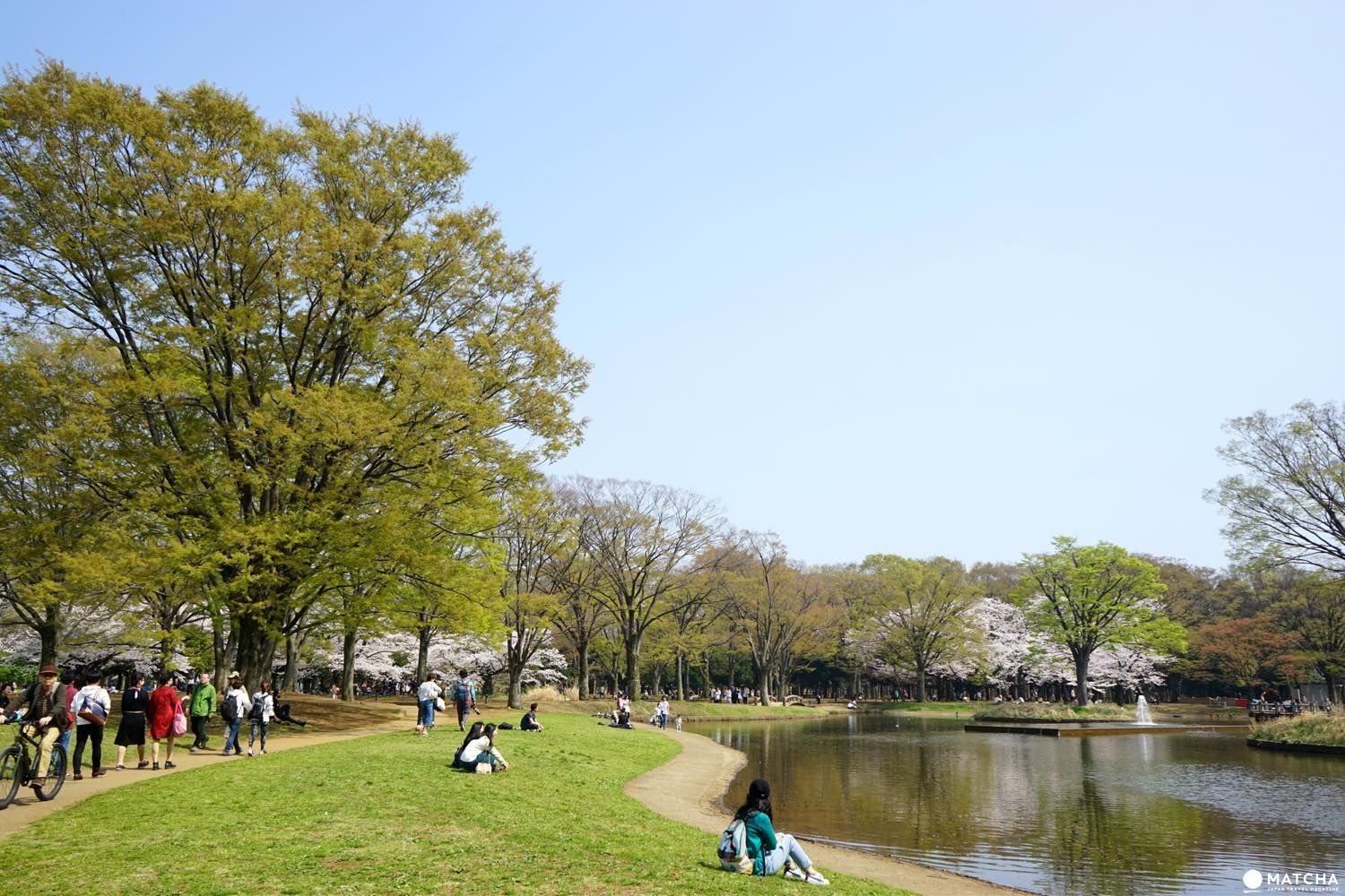 代々木公園