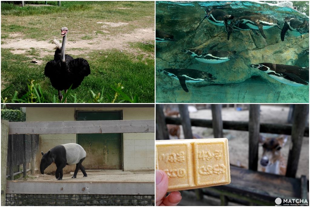 東武動物公園 東武動物公園