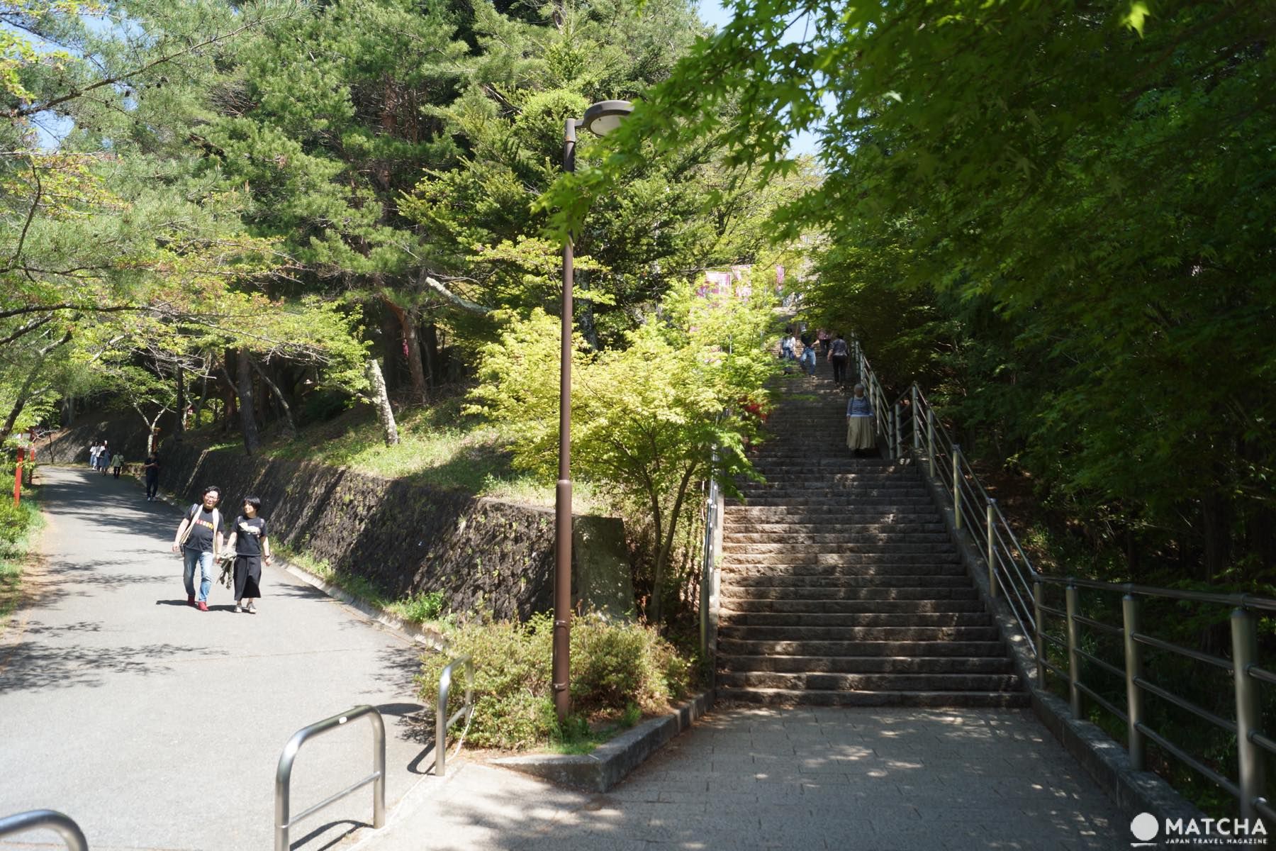 富士山・桜・五重塔が揃った“The Japan”な絶景スポット「忠霊塔」の楽しみ方