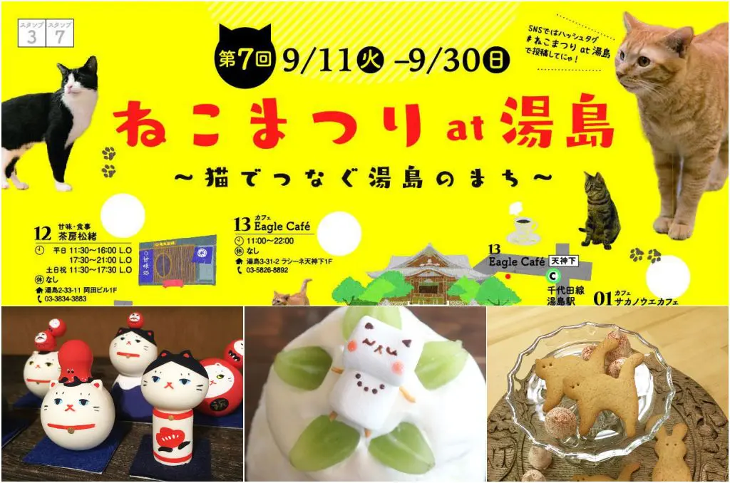 猫奴期待的“汤岛猫咪祭典”又来啦！20天不间断与你同乐