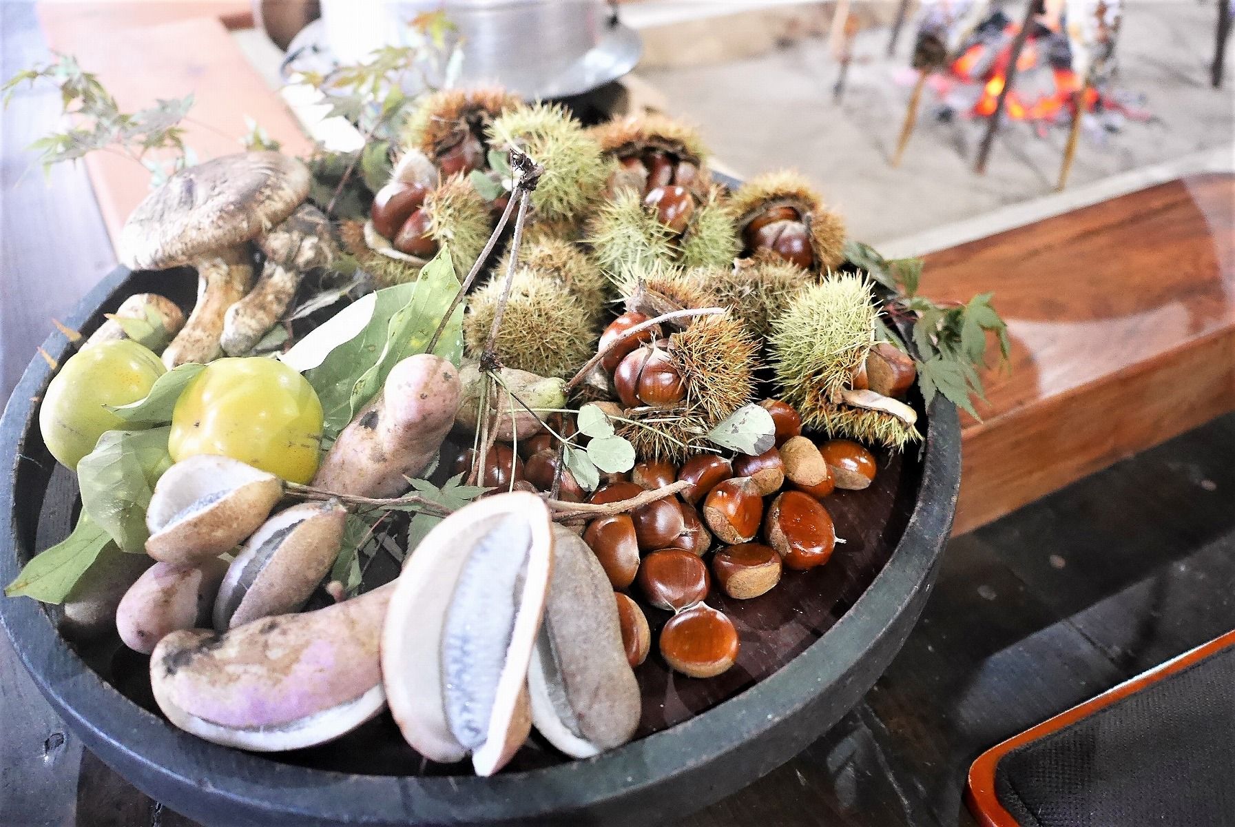 西阿波_食材 西阿波_食材