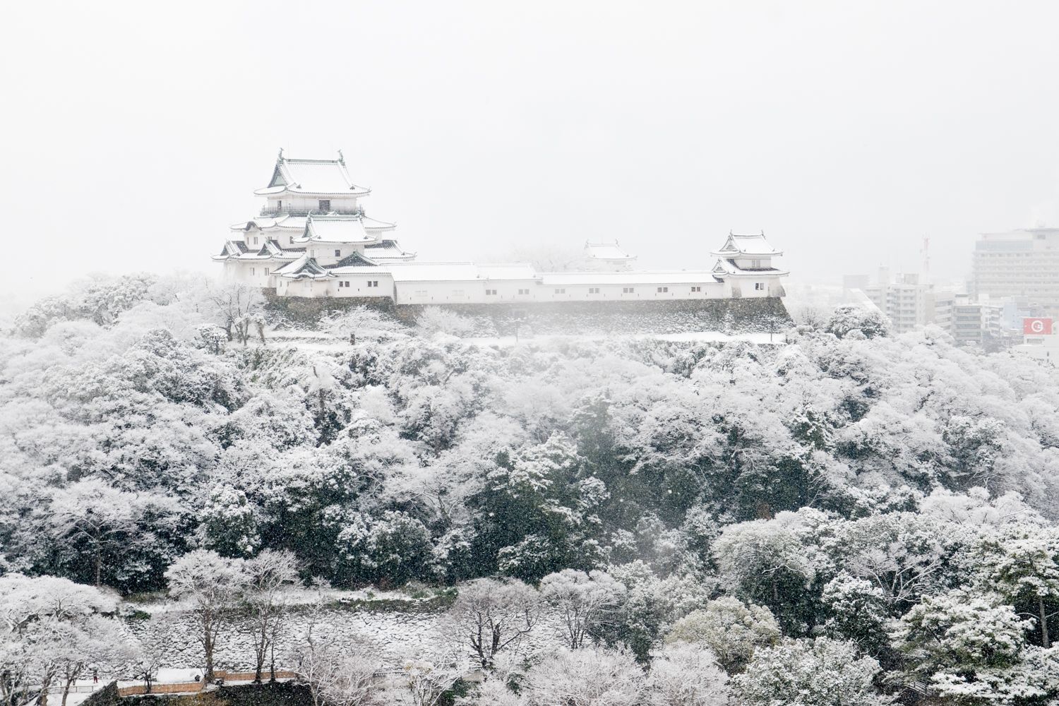 同時沉浸在景色與歴史中的六個和歌山城散步好去處