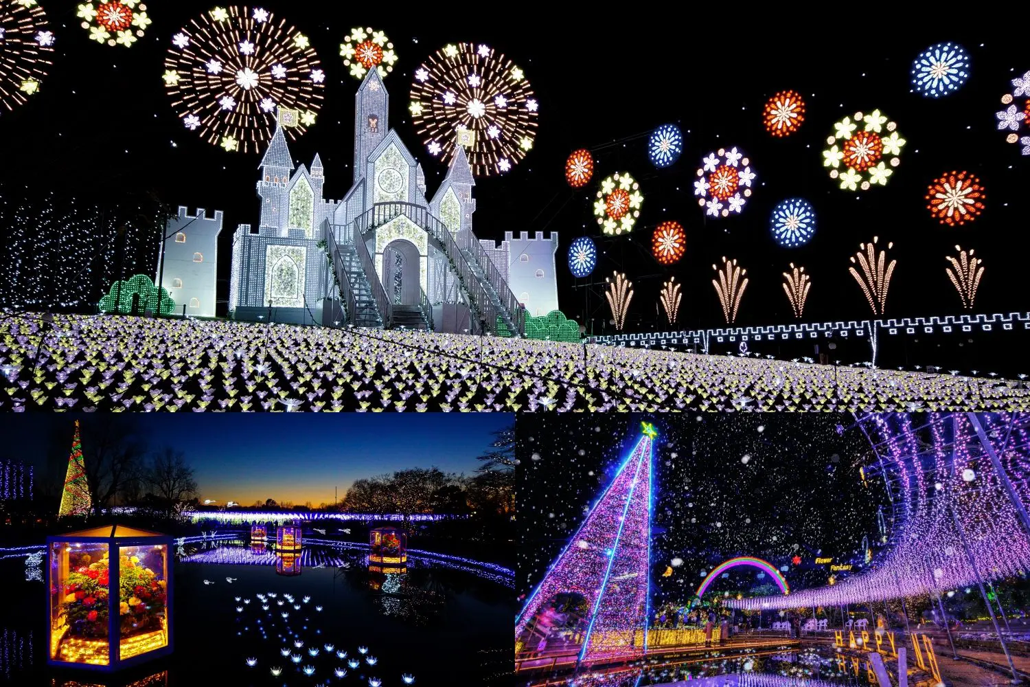 อิลลูมิเนชั่นแสนสวยที่ สวนดอกไม้อาชิคางะ (Ashikaga Flower Park, Tochigi)
