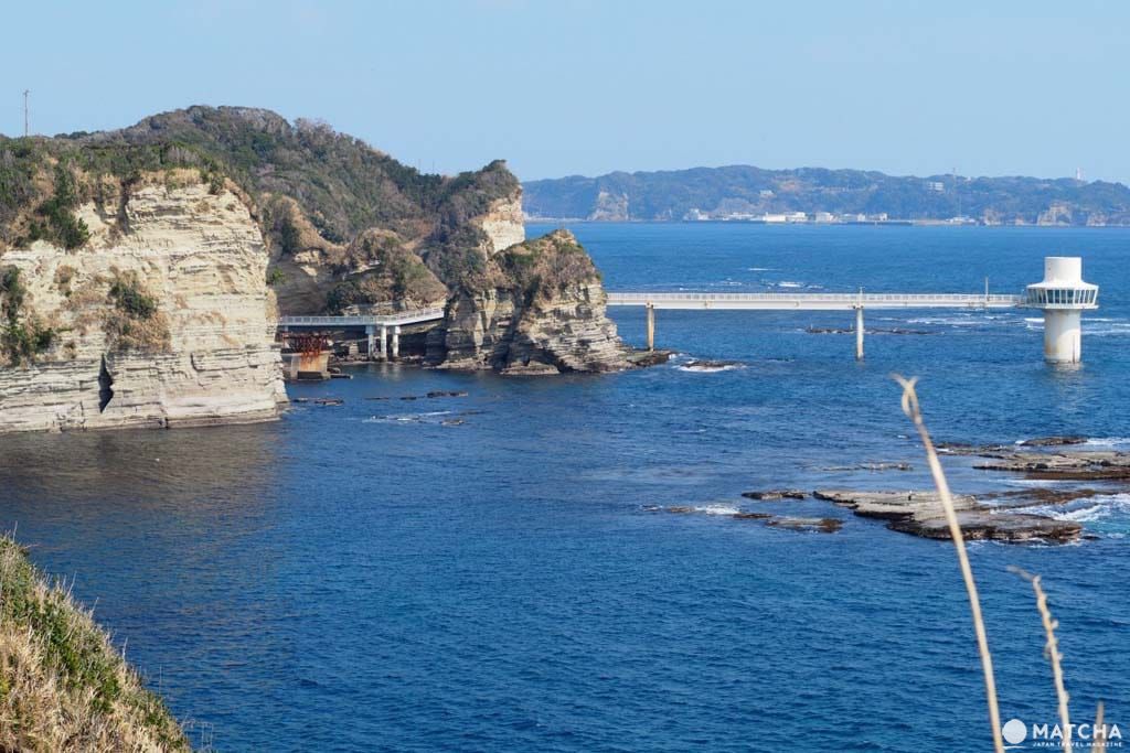 成田發！千葉勝浦海中公園