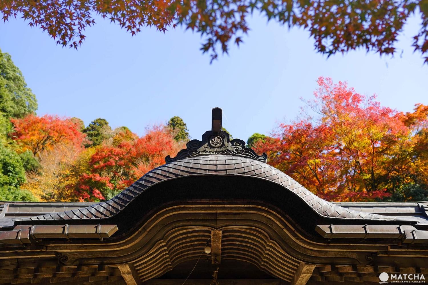 Top 6 Autumn Spots In Tottori - Colorful Nature Off The Beaten Path