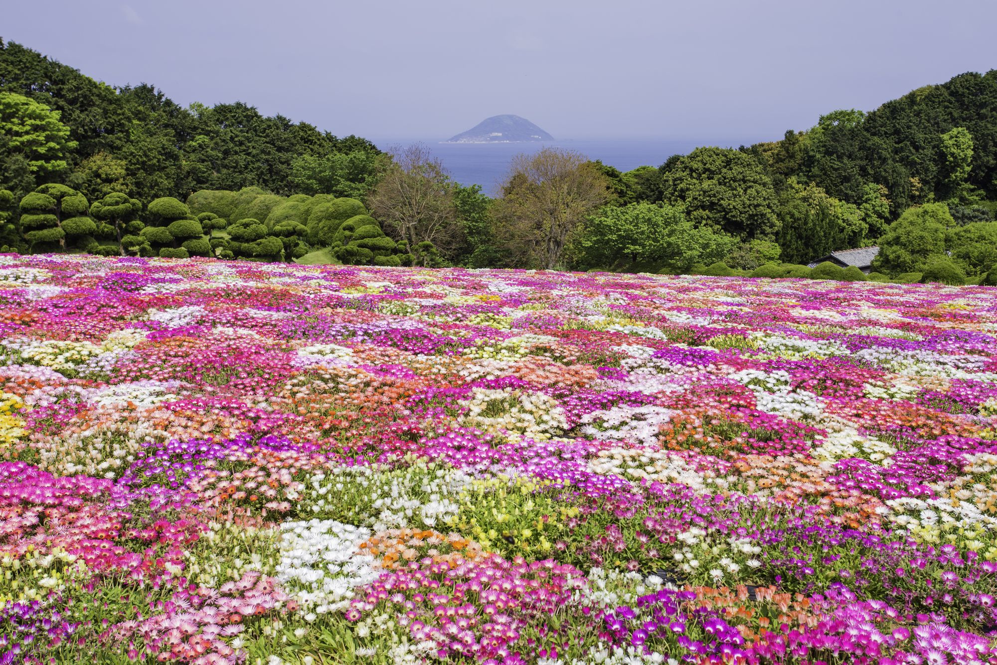 福岡デートスポット