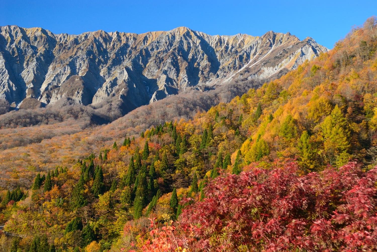 Top 6 Autumn Spots In Tottori - Colorful Nature Off The Beaten Path