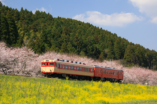 夷隅鐵道