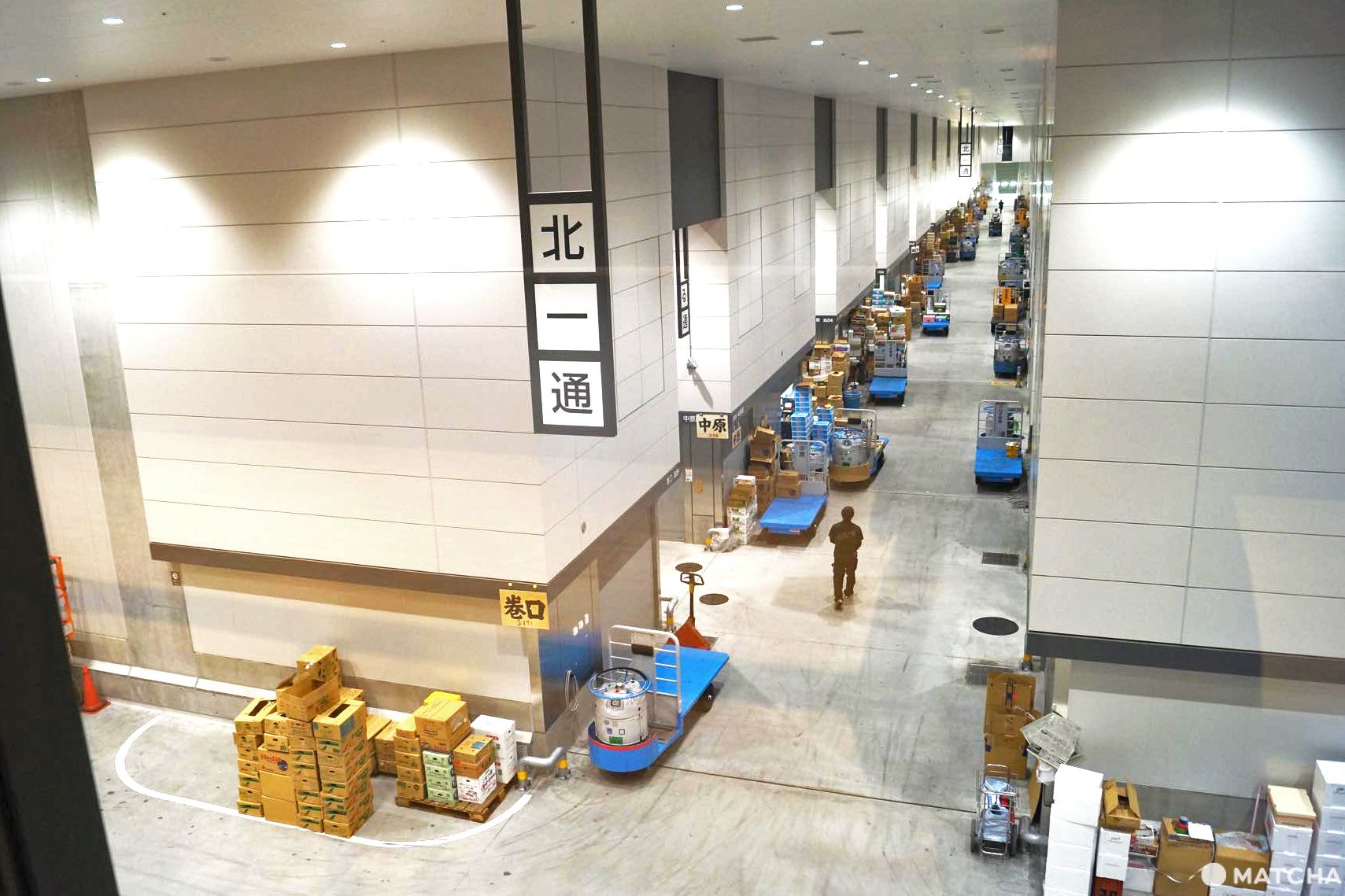 豊洲市場の楽しみ方ガイド～移転後の人気店の様子をチェック！～