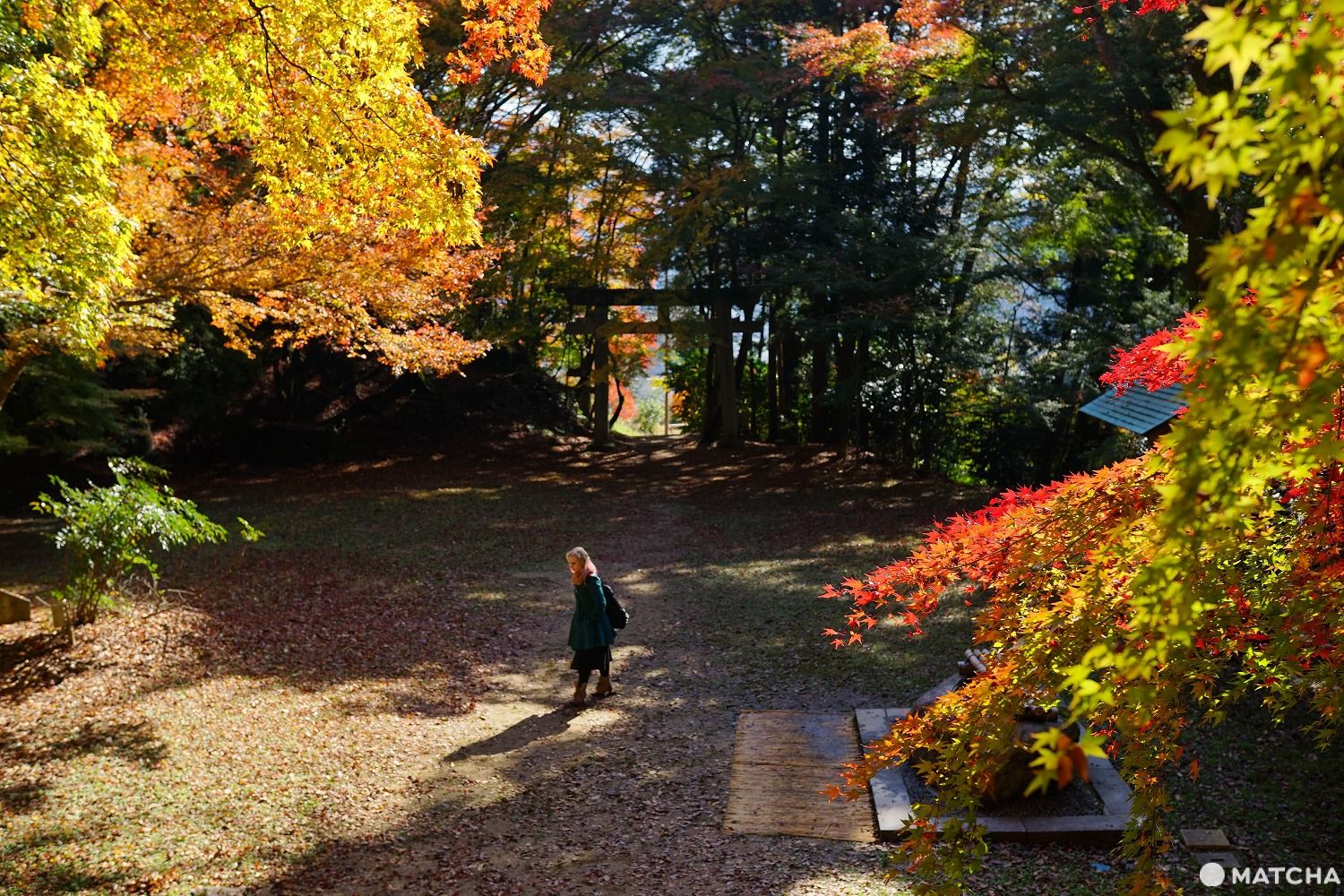 色彩豊かな自然を満喫！鳥取のオススメ紅葉スポット6選