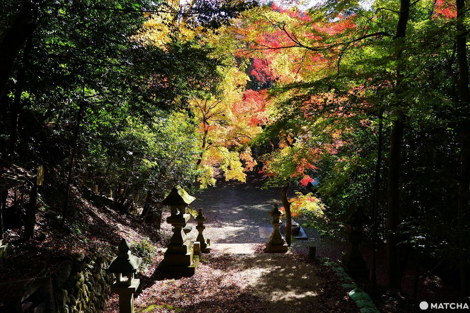 色彩豊かな自然を満喫！鳥取のオススメ紅葉スポット6選