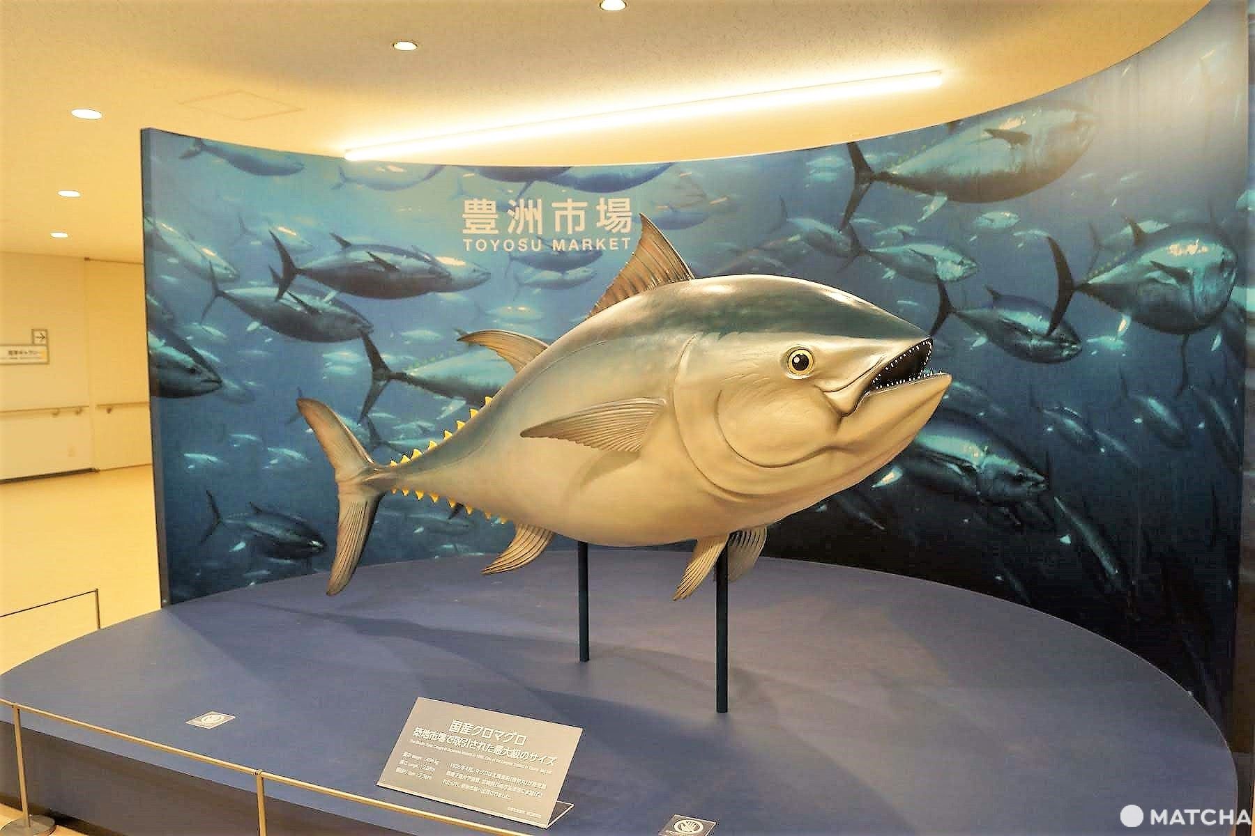豊洲市場