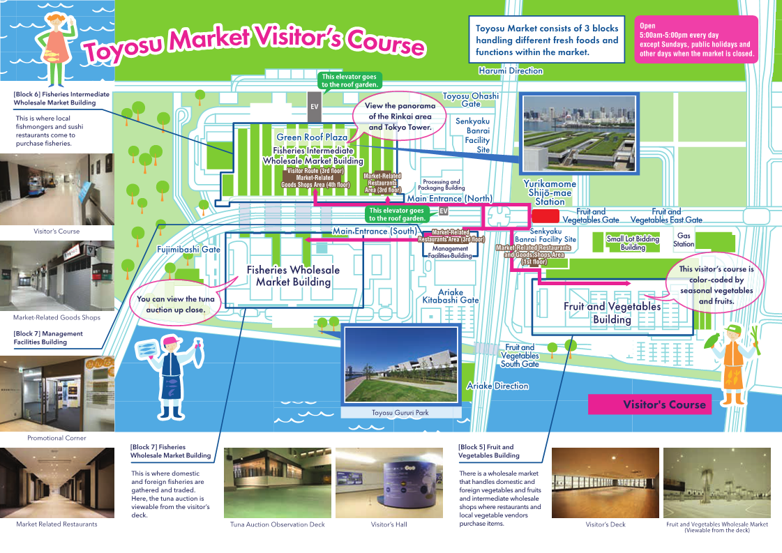 豊洲市場