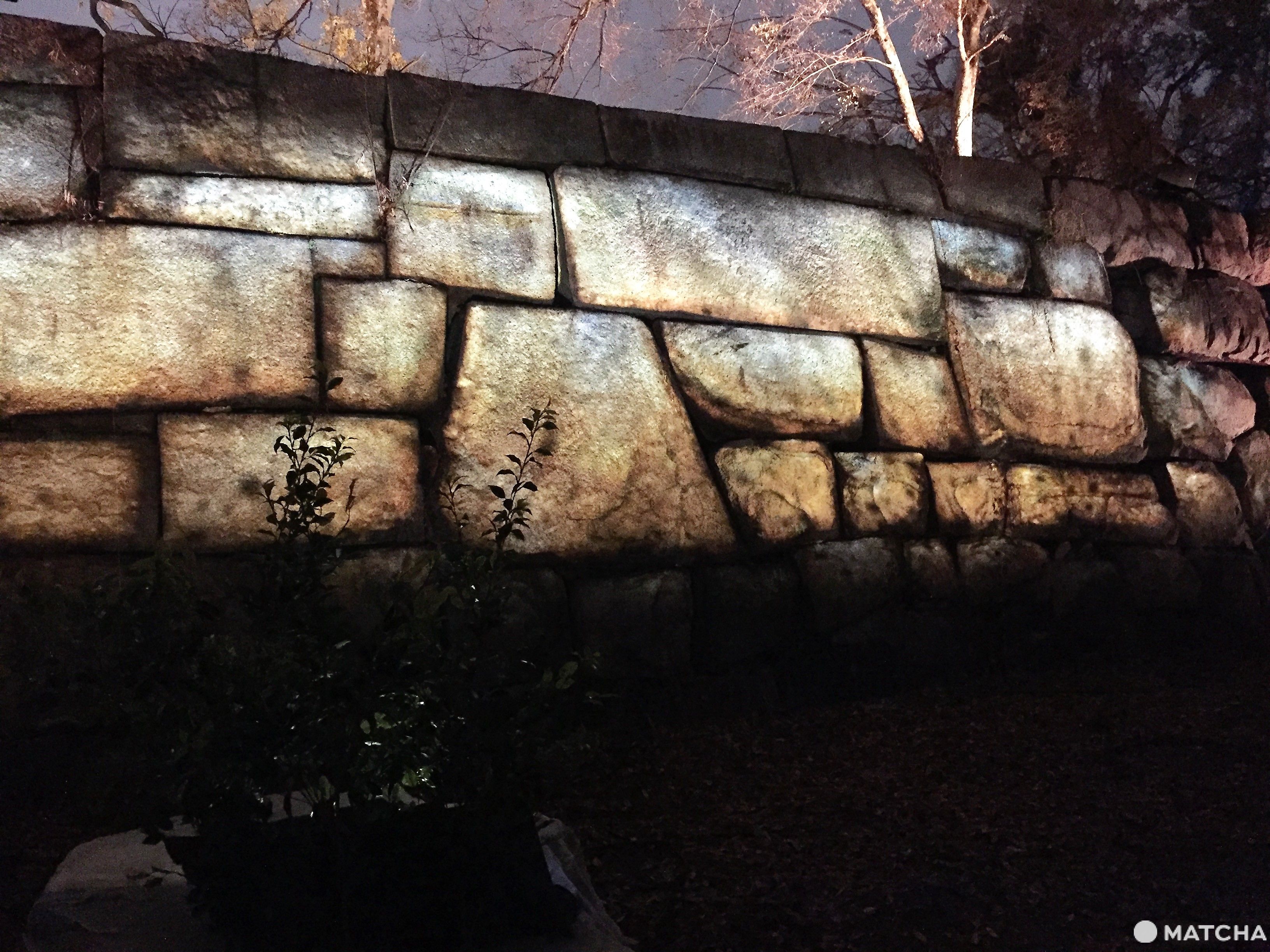 SAKUYA LUMINA夜遊大阪城公園 探索奇幻國度