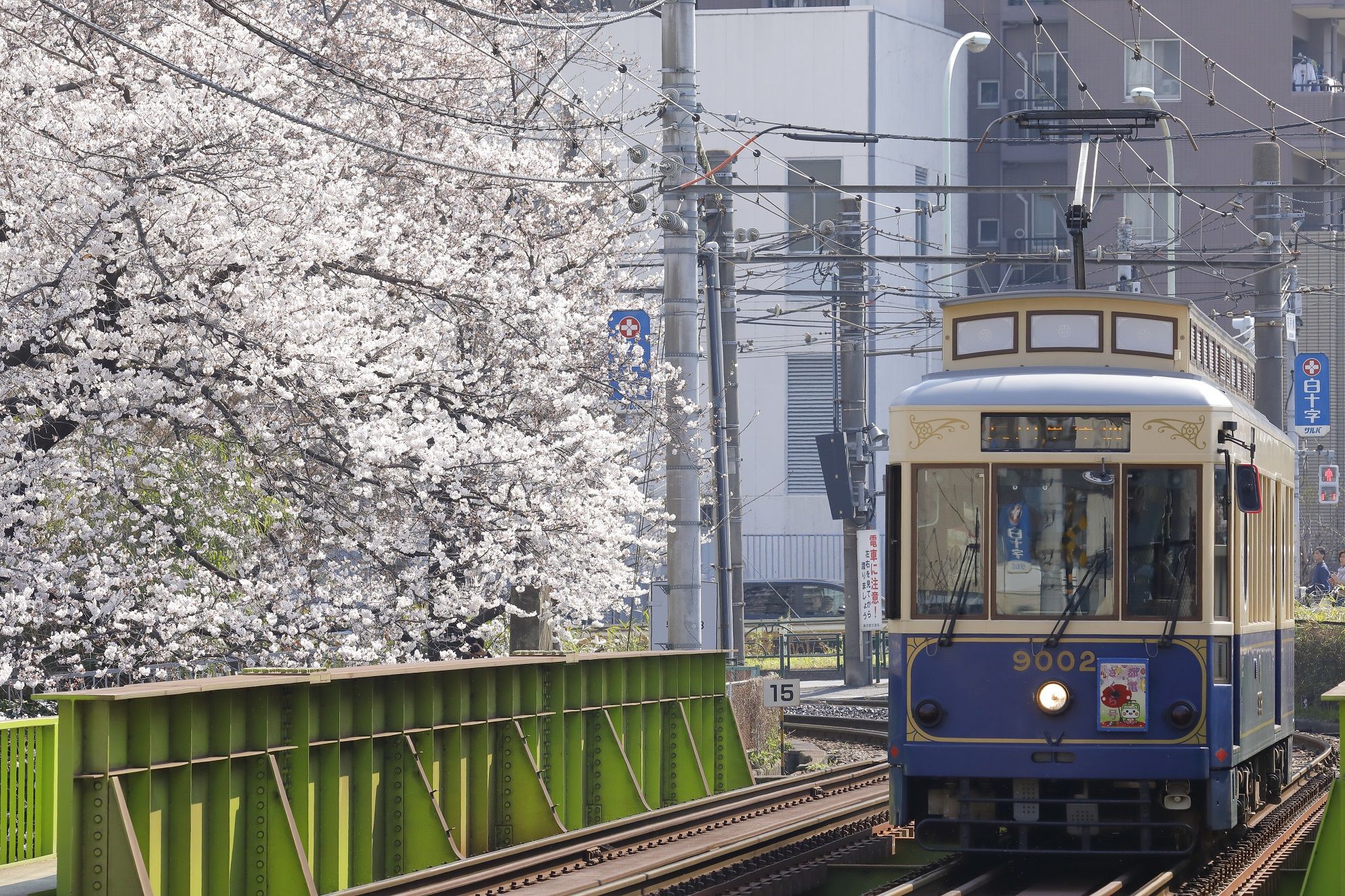 【東京】搭都電遊下町，一日賞櫻推薦行程