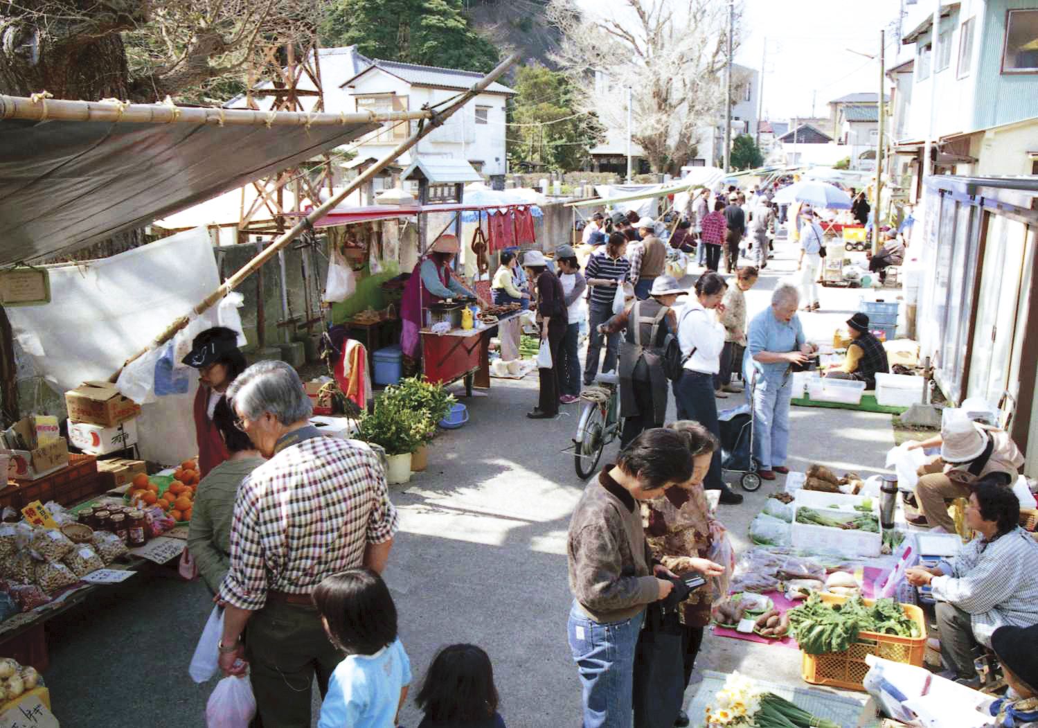 勝浦朝市