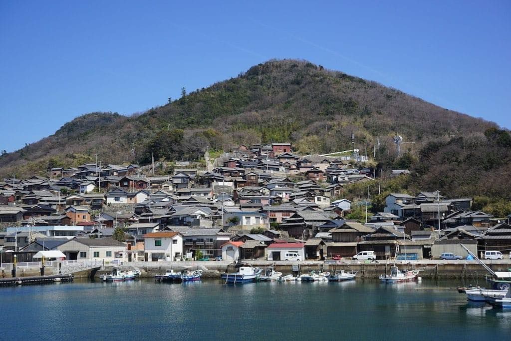 猫、鹿、クジラ……動物と友達になれる！日本の観光スポット5選
