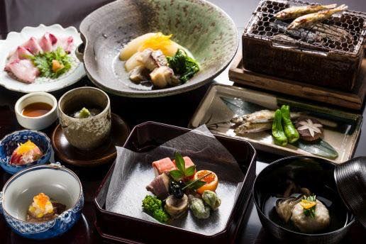 猫、鹿、クジラ……動物と友達になれる！日本の観光スポット5選