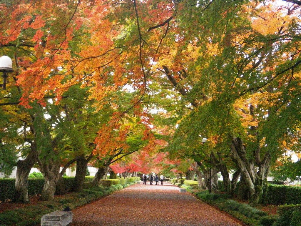 【栃木】臥虎藏龍絕景之地！絕對羨煞所有人的5大奇蹟絕景！
