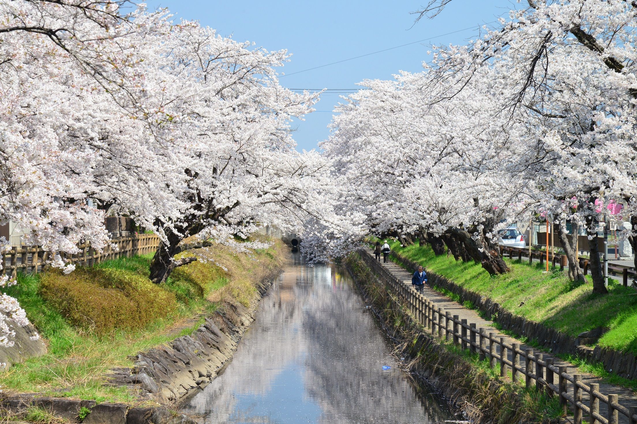 【栃木】臥虎藏龍絕景之地！絕對羨煞所有人的5大奇蹟絕景！