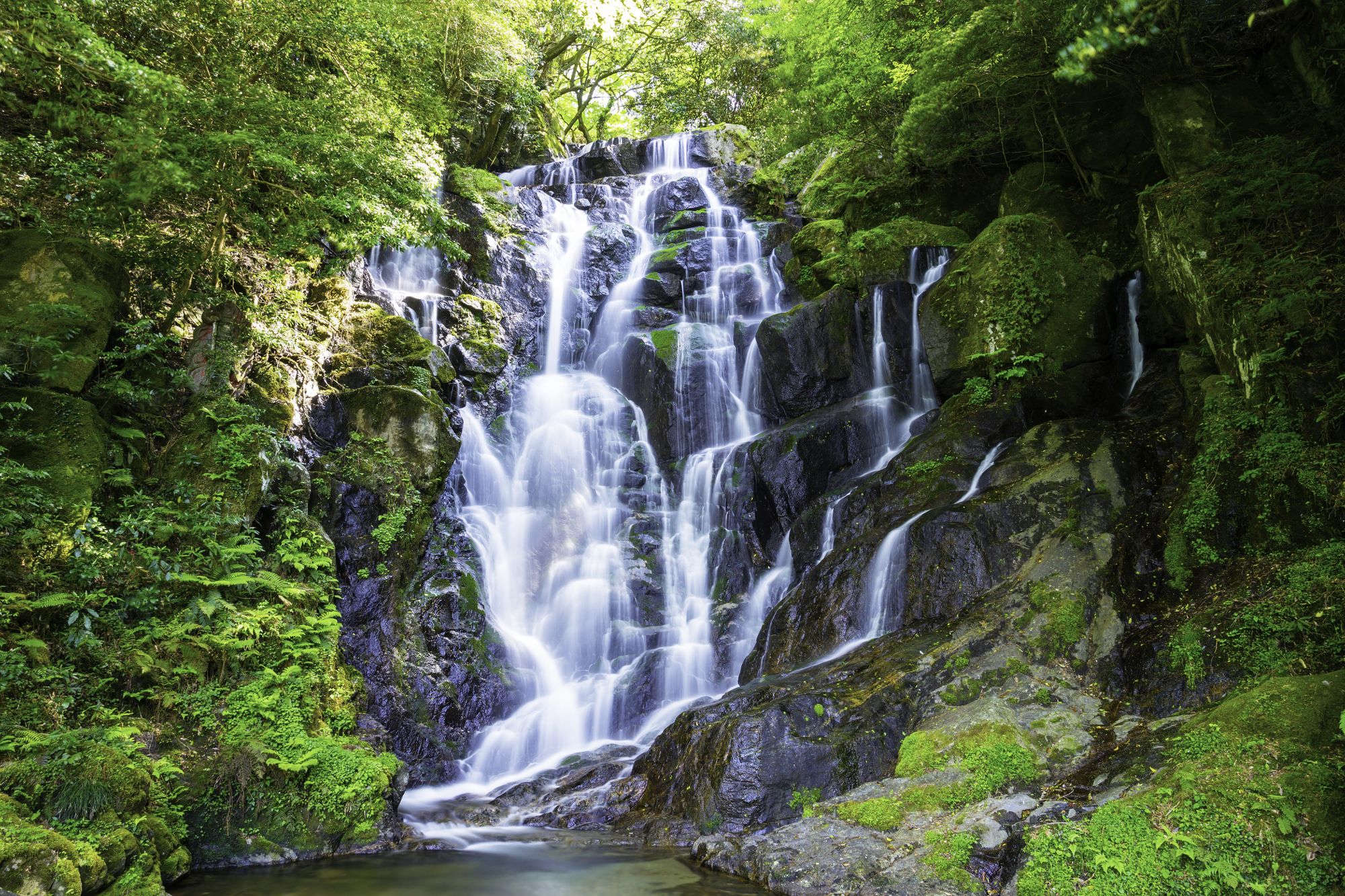 白糸の滝